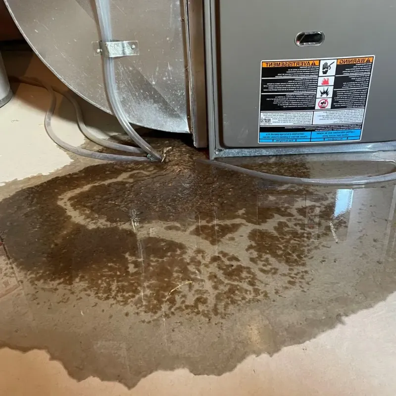 Pipe Burst and Leak Restoration in Santa Clara County, CA